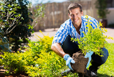 Tree planting in Essex