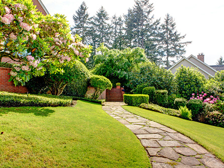 turfing services in Harlow