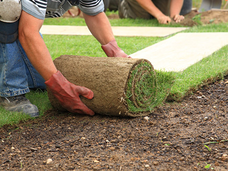  expert Harlow turfing services
